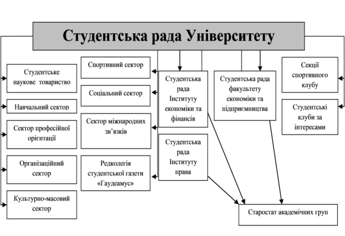 Структура студради